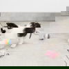 Chi