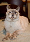 Jasmine