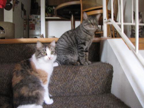 Sam & Selene