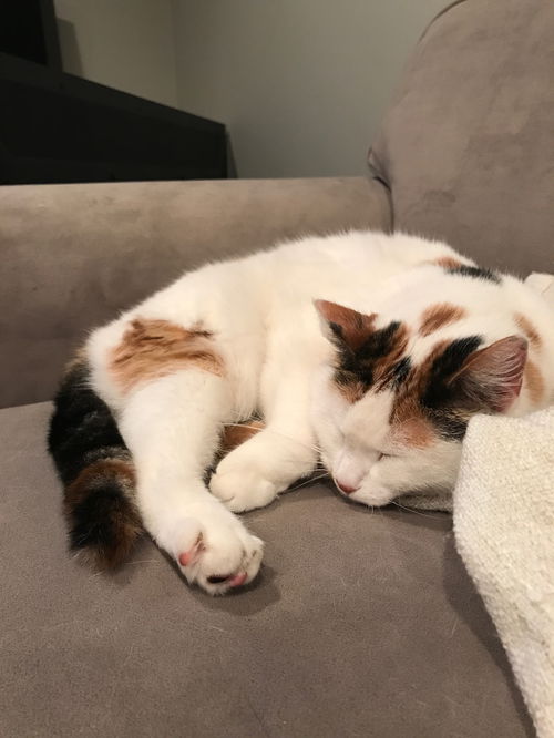 Sophie