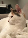 Sophie