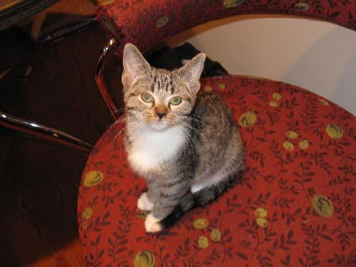 Amy
