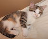 Fiona