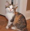 Fiona