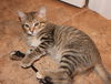 Cleo