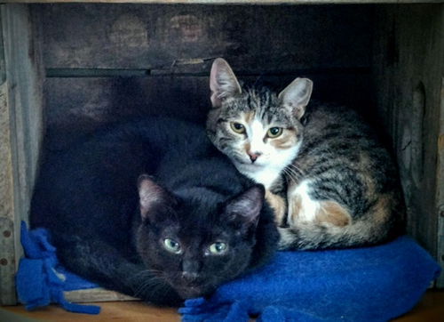 Jasper and Freckles