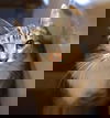 Honeycomb