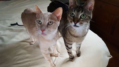 Latte and Mocha