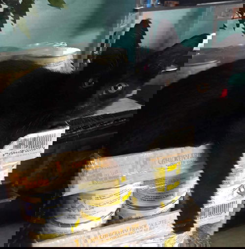 Onyx