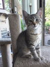 Xena