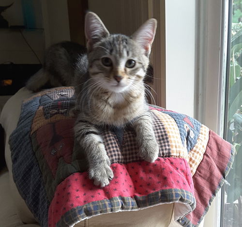 Xena