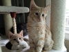 Max and Penny