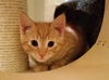 George
