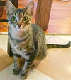 Molly