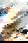 Hondurus