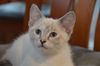 Lilythe