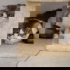 Houdini