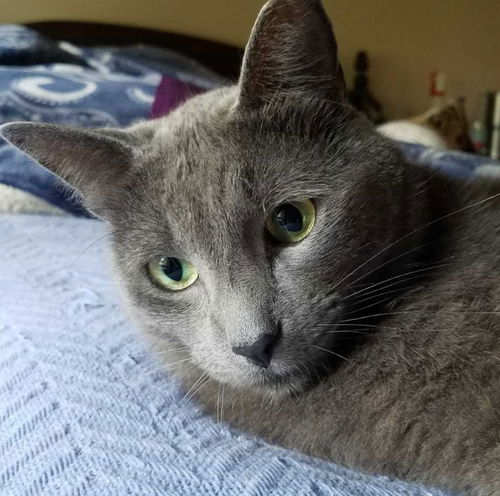 Judah