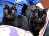 BamBam&BugaLou