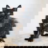 Bug