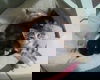 Gary 2