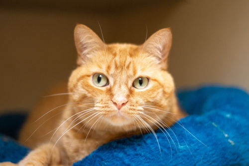 Edna Mae