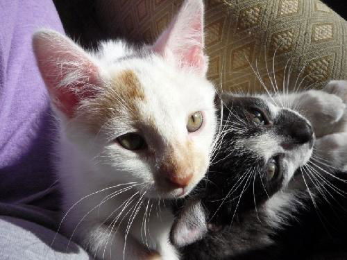Larry