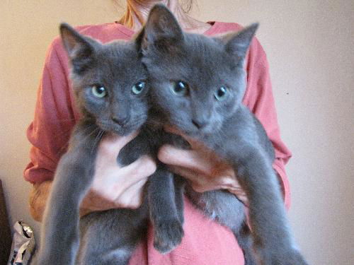 Lenny and Benny