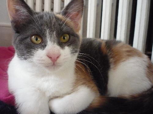 Abby