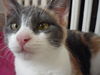 Abby