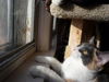 Abby