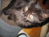 Genevieve