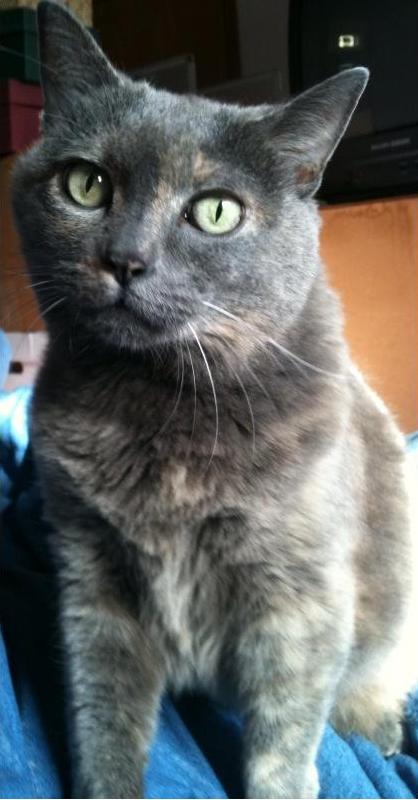 Sophie
