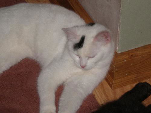 Smudge