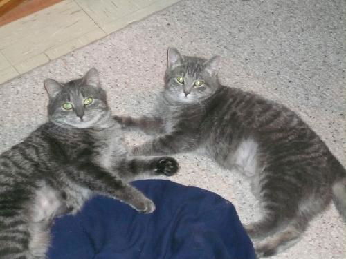 Maggie and Kayla