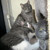 Maggie and Kayla