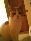 George