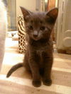 Buster