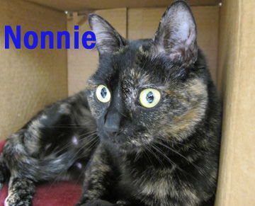 Nonnie