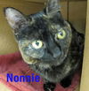 Nonnie