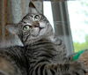 Lady Lucy