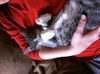 Jasmine and Twinkle