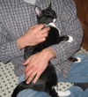 Agatha