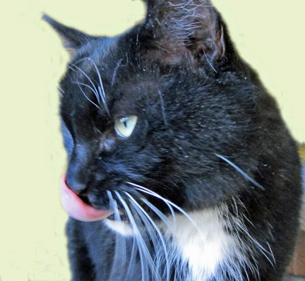 Cadbury