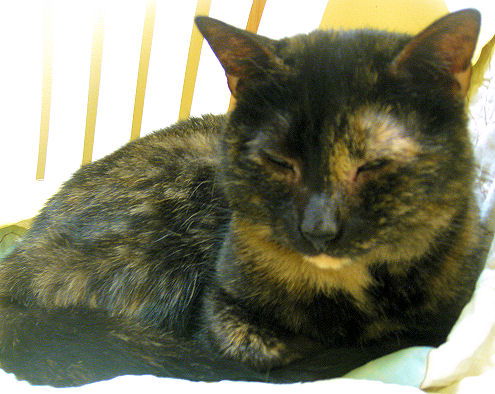 Imogene