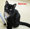 Neiman