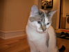 Sally