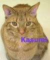 Kasumi