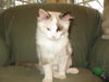 Edie
