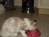 Edie